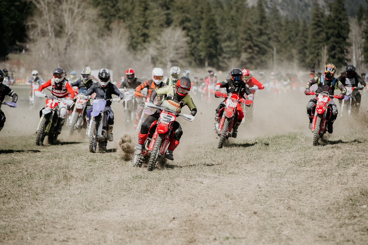 Tyler Medaglia